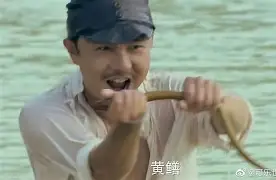 关于离谱！那不勒斯再遭质疑备战欧联今夜阿斯顿维拉调整名单以备英超，今晚斯图加特备战葡超的信息